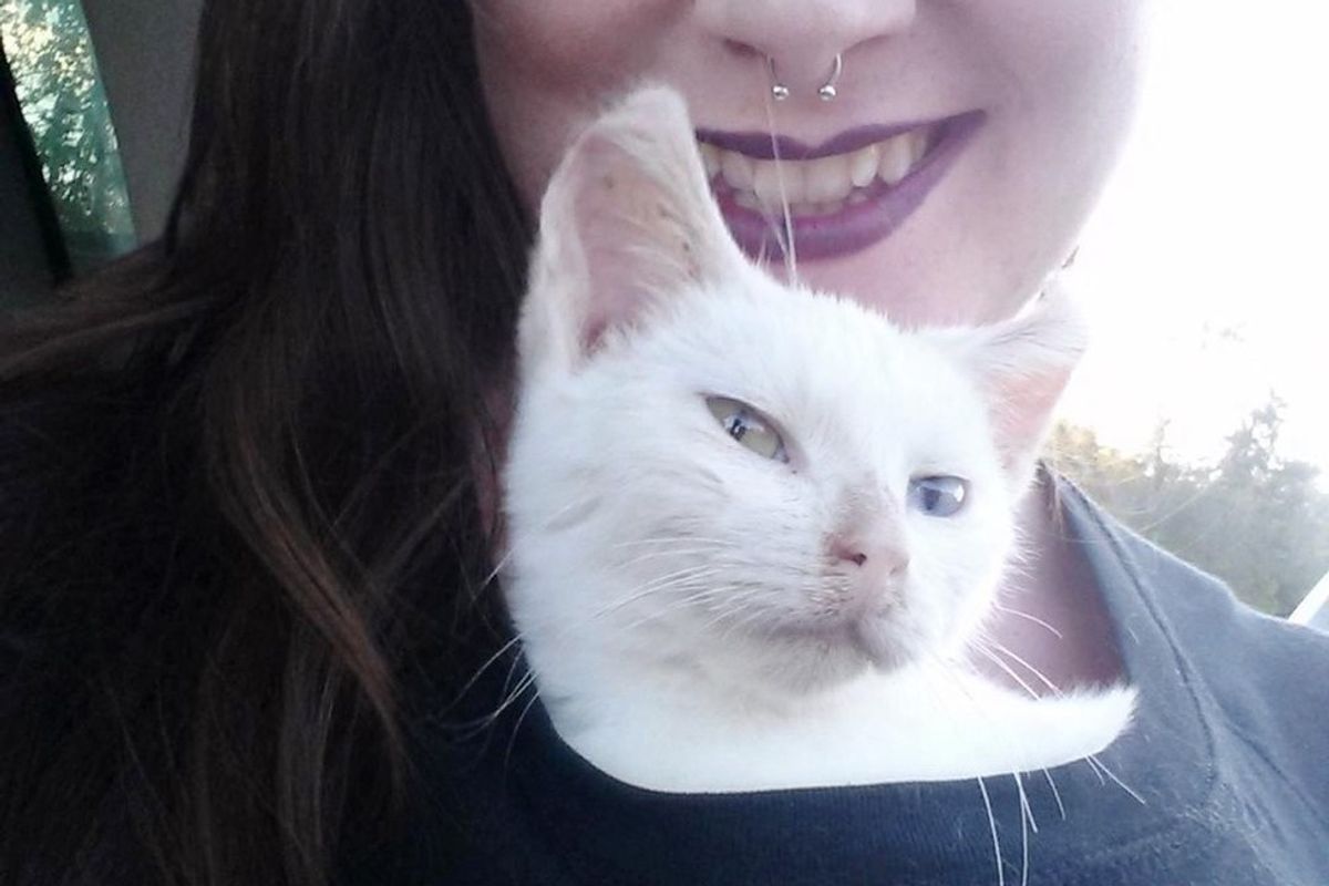 Scrawny Cat who Spent Years in the Woods, Finds His Human, 5 Months Later..