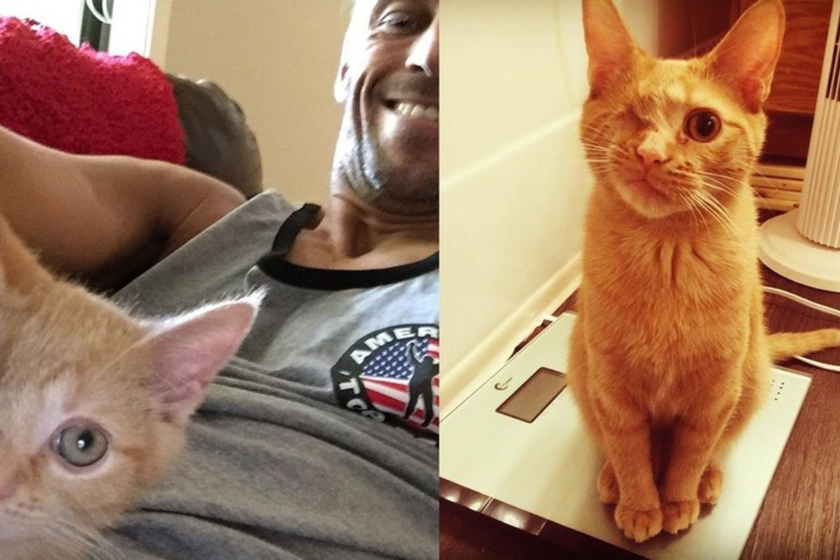 Cat Lost an Eye But Changed a Man's Life Forever!