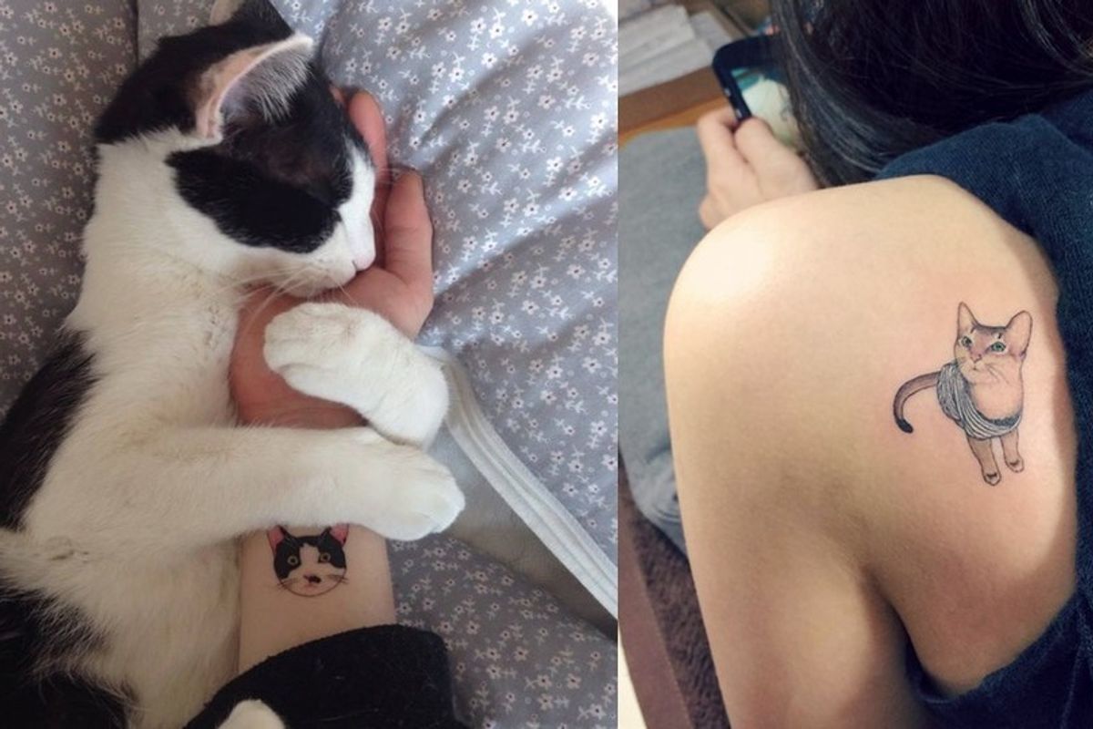 Underground Tattoo Artists Show Their Love for Cats Through Tats