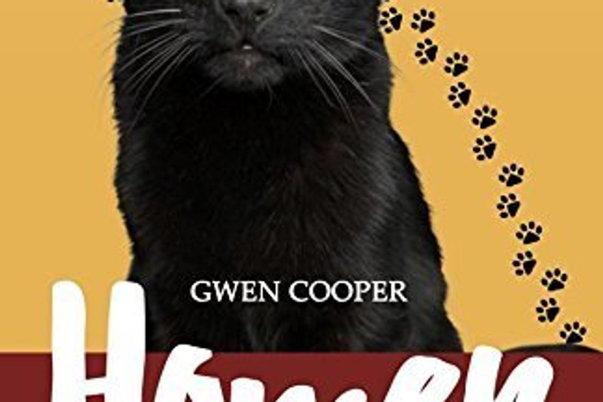 Homer: The Ninth Life of a Blind Wonder Cat (Sequel)