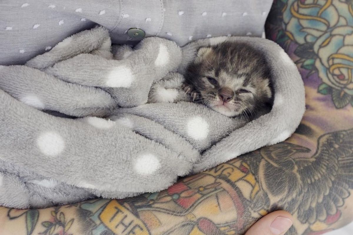 Tiny Kitten Lost Her Siblings But Found Comfort and Love from Another Orphaned Baby