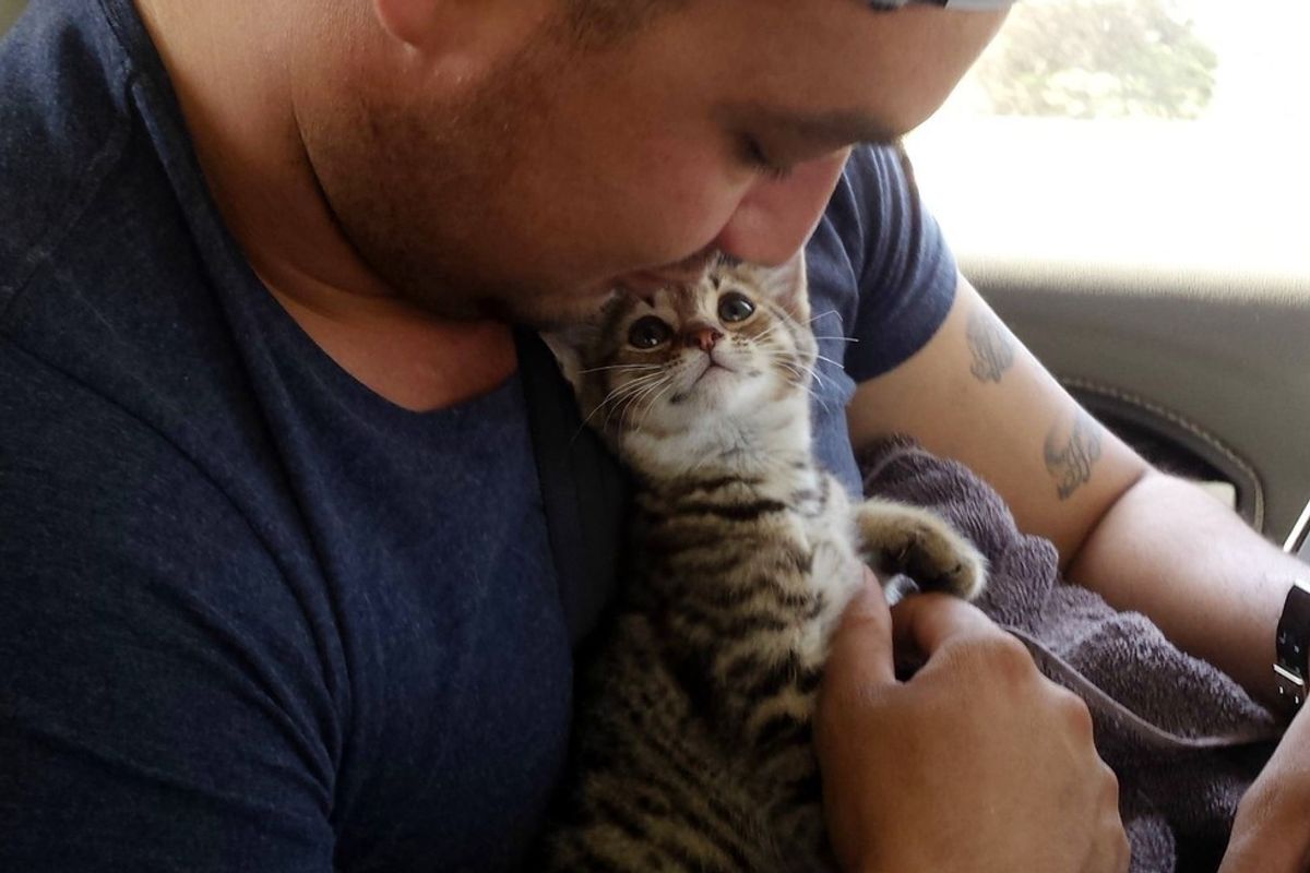 Happiness When This Kitten is Saved By His Rescuer