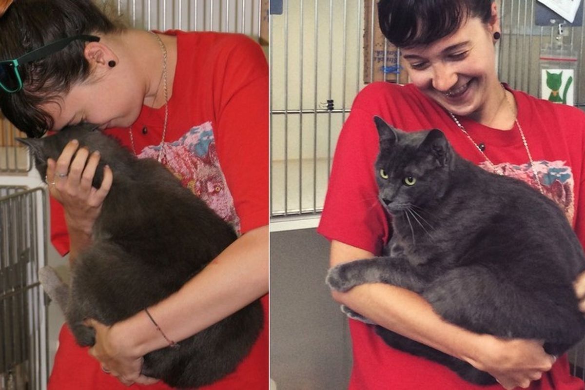 They Drive All Night to Reunite with Their Lost Cat