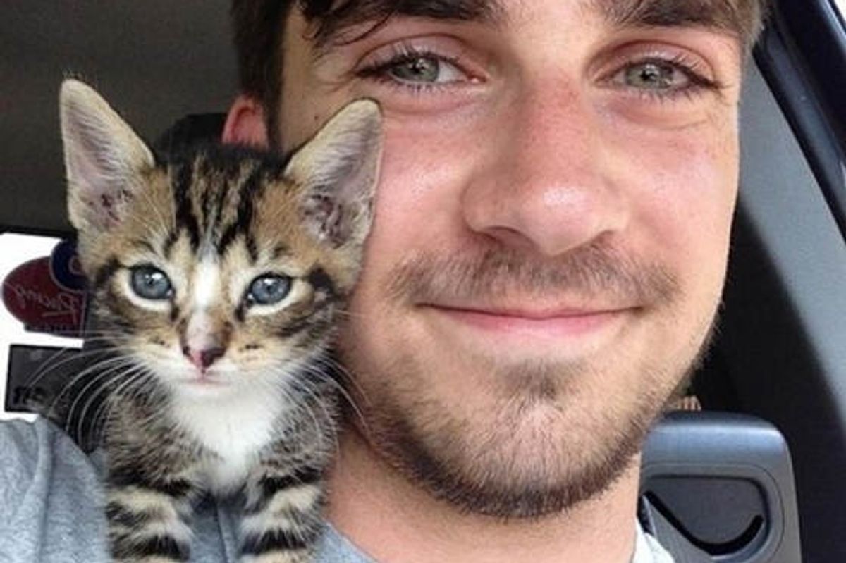 Kitten Clings to Her Rescuer on His Shoulder After He Saved Her