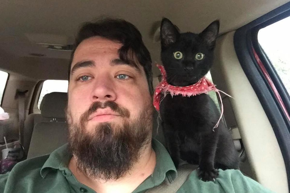 Man Saves Kitten, and She Immediately Claims Him As Family