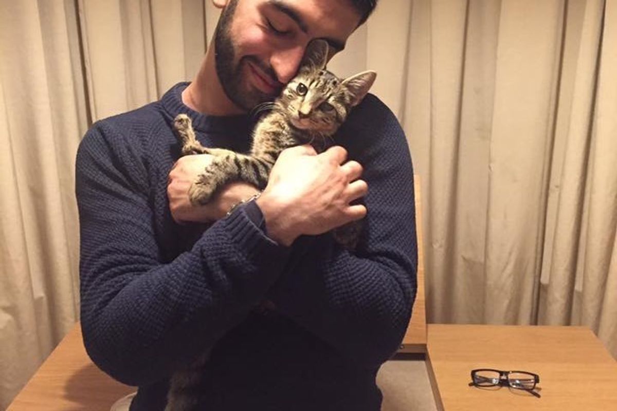 Man Reunited with His Beloved Cat After Terrible Car Crash