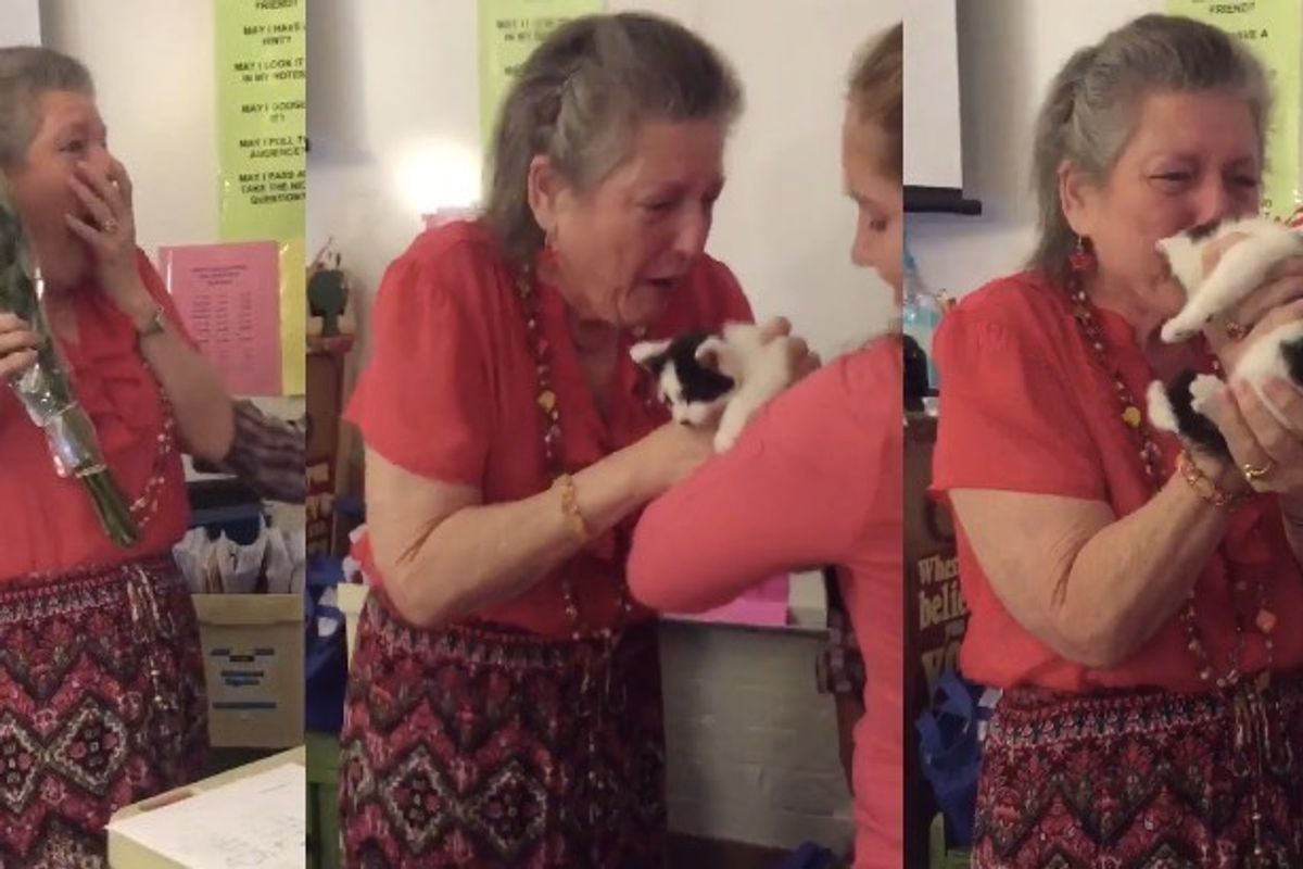 Teacher Gets a Heartwarming Surprise After Her Cat Passed Away