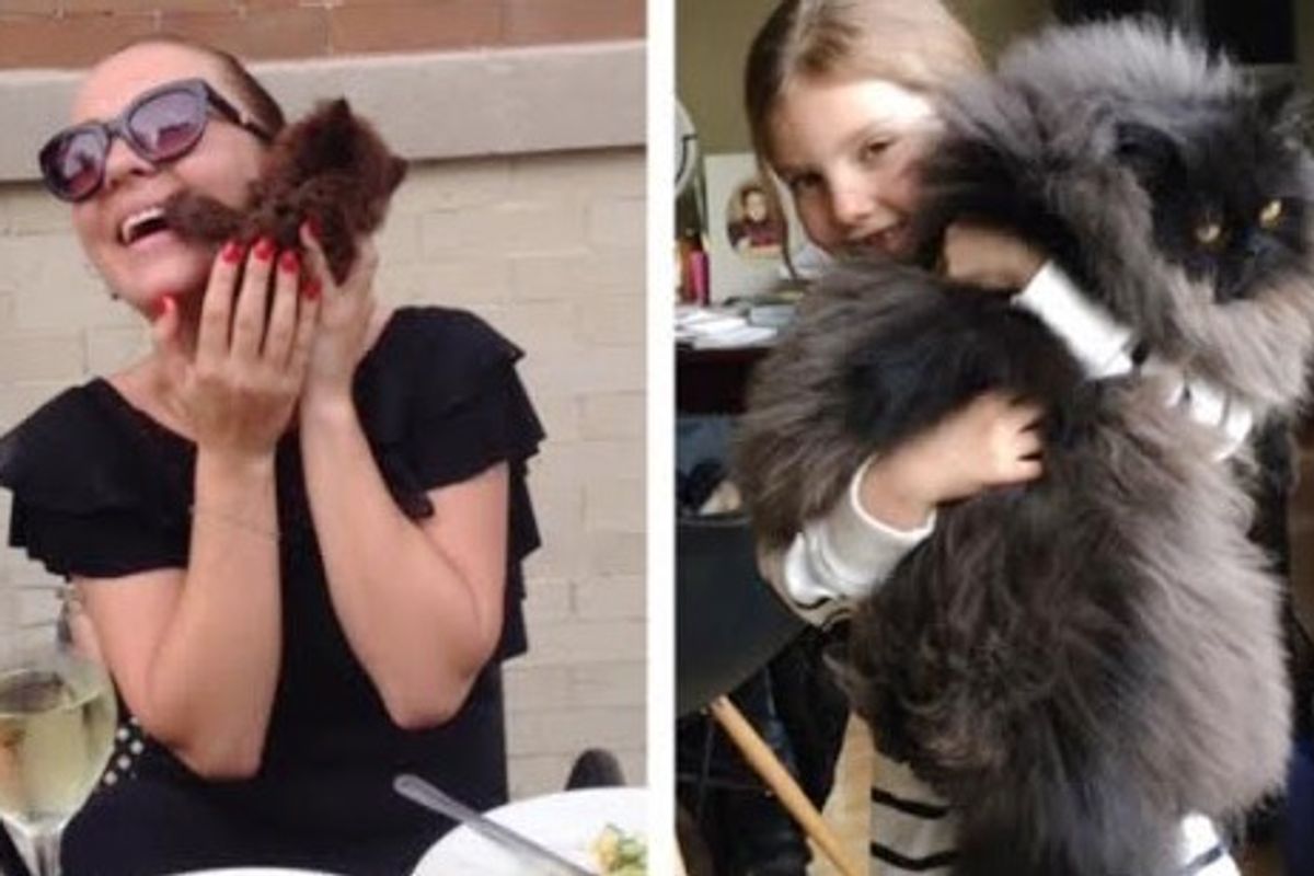 Tiny Runt Blossoms into Magnificently Floofy Cat