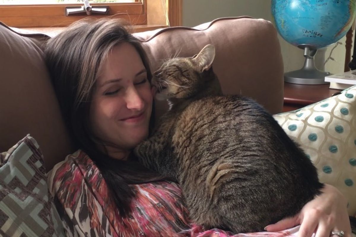 Cat Senses Baby Coming from His Pregnant Human