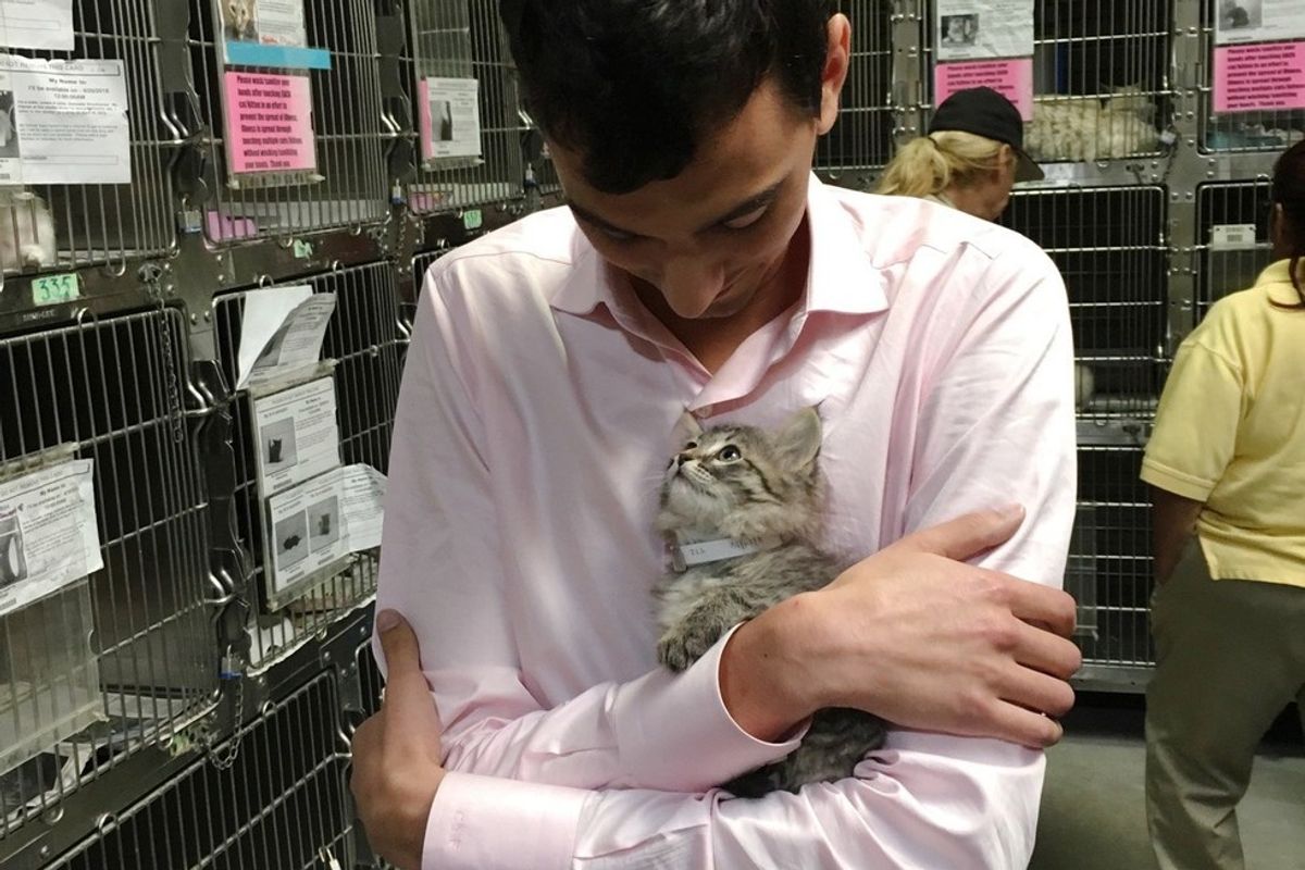 Shelter Kitten Chooses Man to Be Her Forever Human