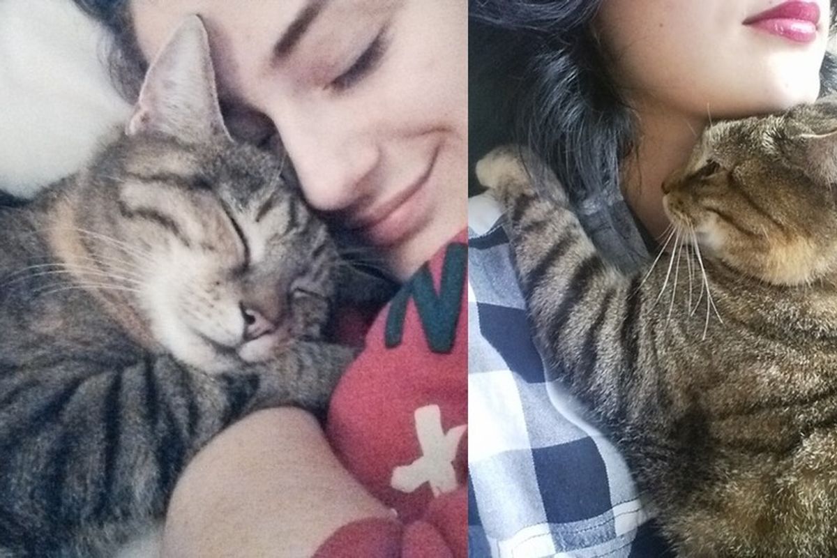 Cat Loves Her Human So Much She Hugs and Watches Over Her Every Step of the Way