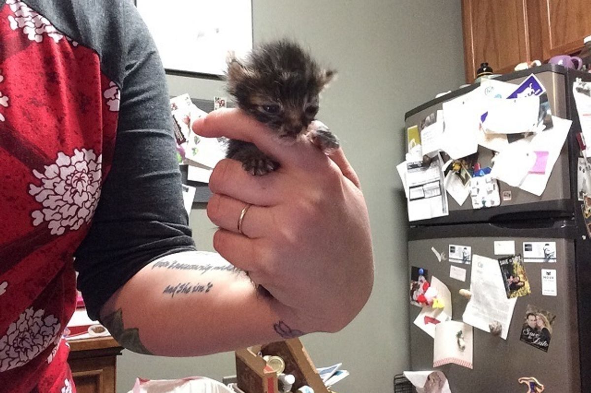 Micro Kitten Found Less than 2 Ounces, is Now Thriving