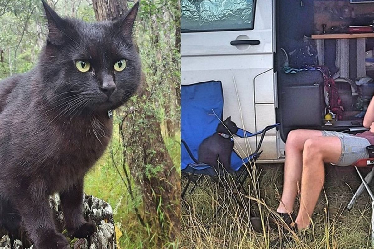 Man Left His Job and House to Travel With His Cat Who Rescued Him