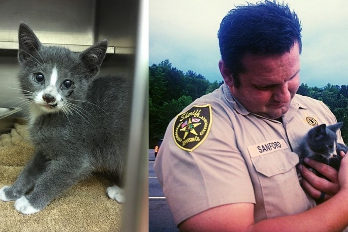 Deputy Saves Furry Stowaway, who Traveled 130 Miles in Family's Car