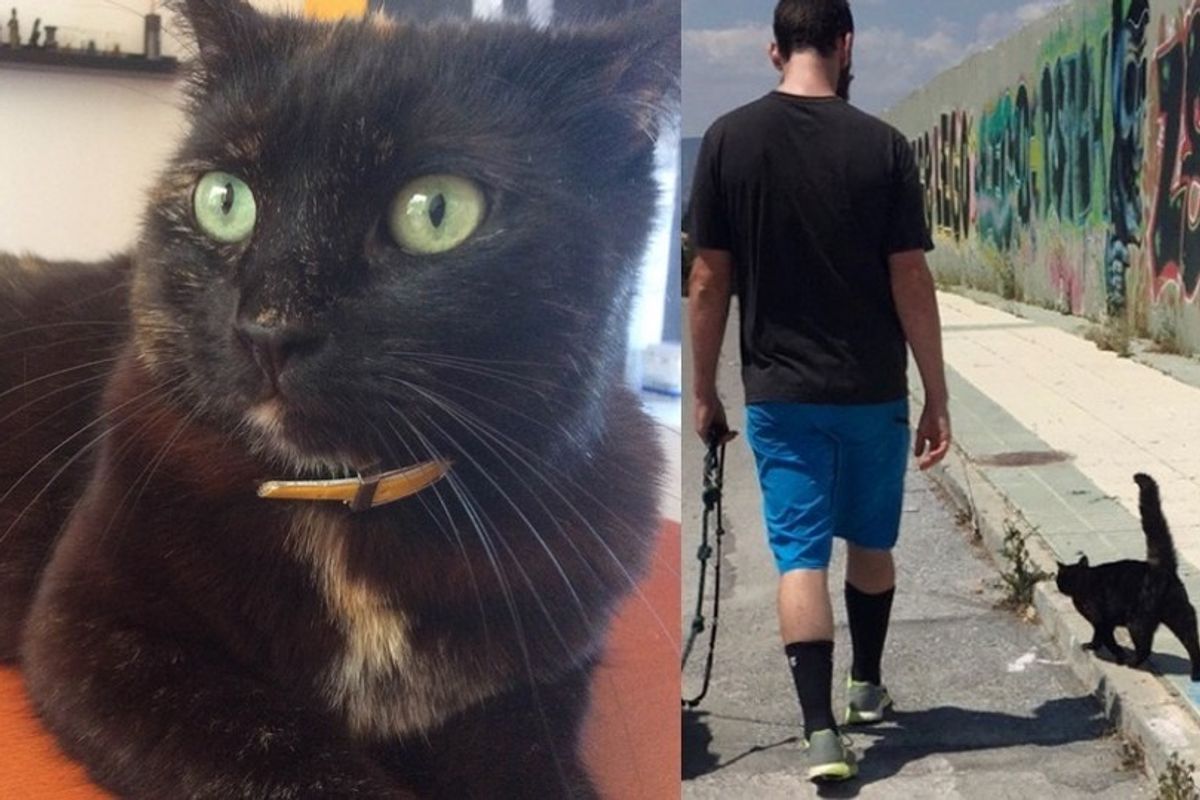 They Save a Cat Covered in Petrol, She Returns the Favor by Protecting Them for Life