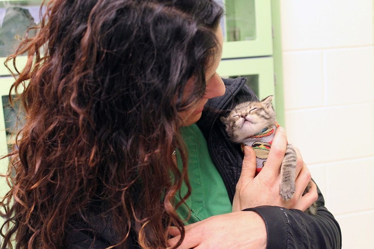 10-day-old Tripawd Kitten Lives Up to His Name