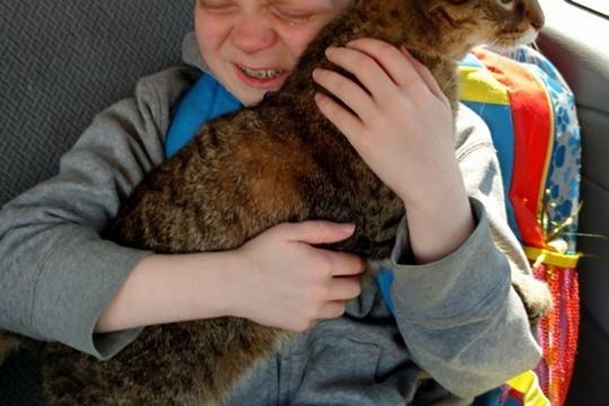 9-year-old Boy with Autism Breaks into Tears When He Reunites With Cat, His Best Friend