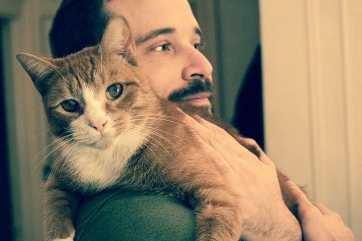 Man Took Cat Out of the Shelter and the Cat Hasn't Stopped Cuddling Him Since
