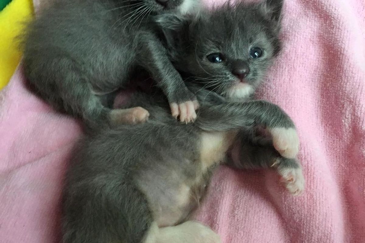 Family Bought a Boat and Was Surprised by What They Found Inside