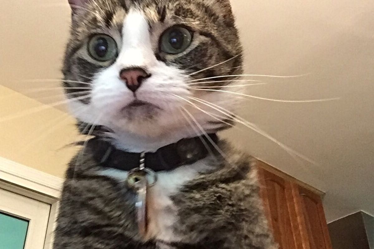 "My Laptop is Set Up to Take a Picture After 3 Incorrect Password Attempts"