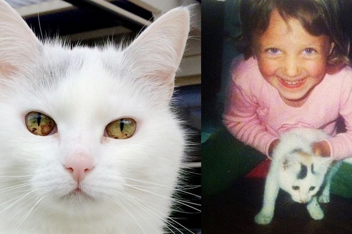 5-year-old Girl Found a Tiny Kitten, 17 Years Later, They are Still Together