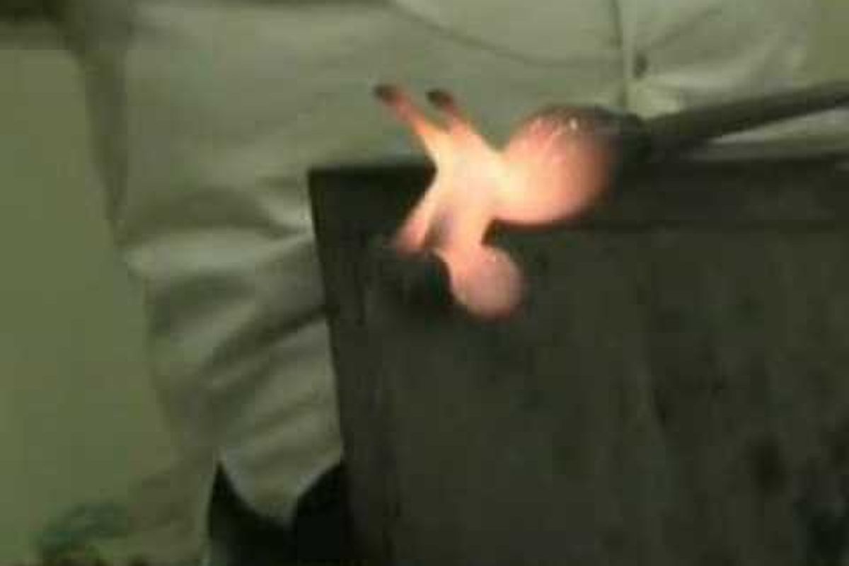 Make a Cute Glass Cat