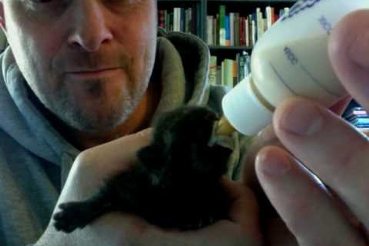 Men Rescued Abandoned New Born Kittens