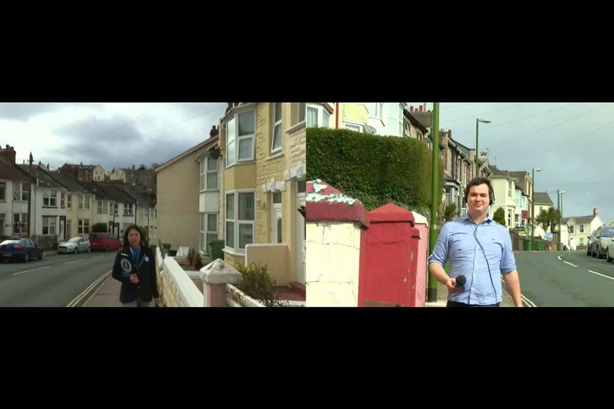 Rescue Cat Merlin Sets New World Record for Loudest Purr! Hear His Purr!