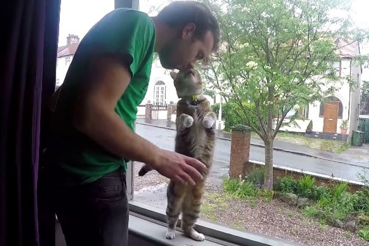 These Men Show How Proud They Are To Be Cat Dads