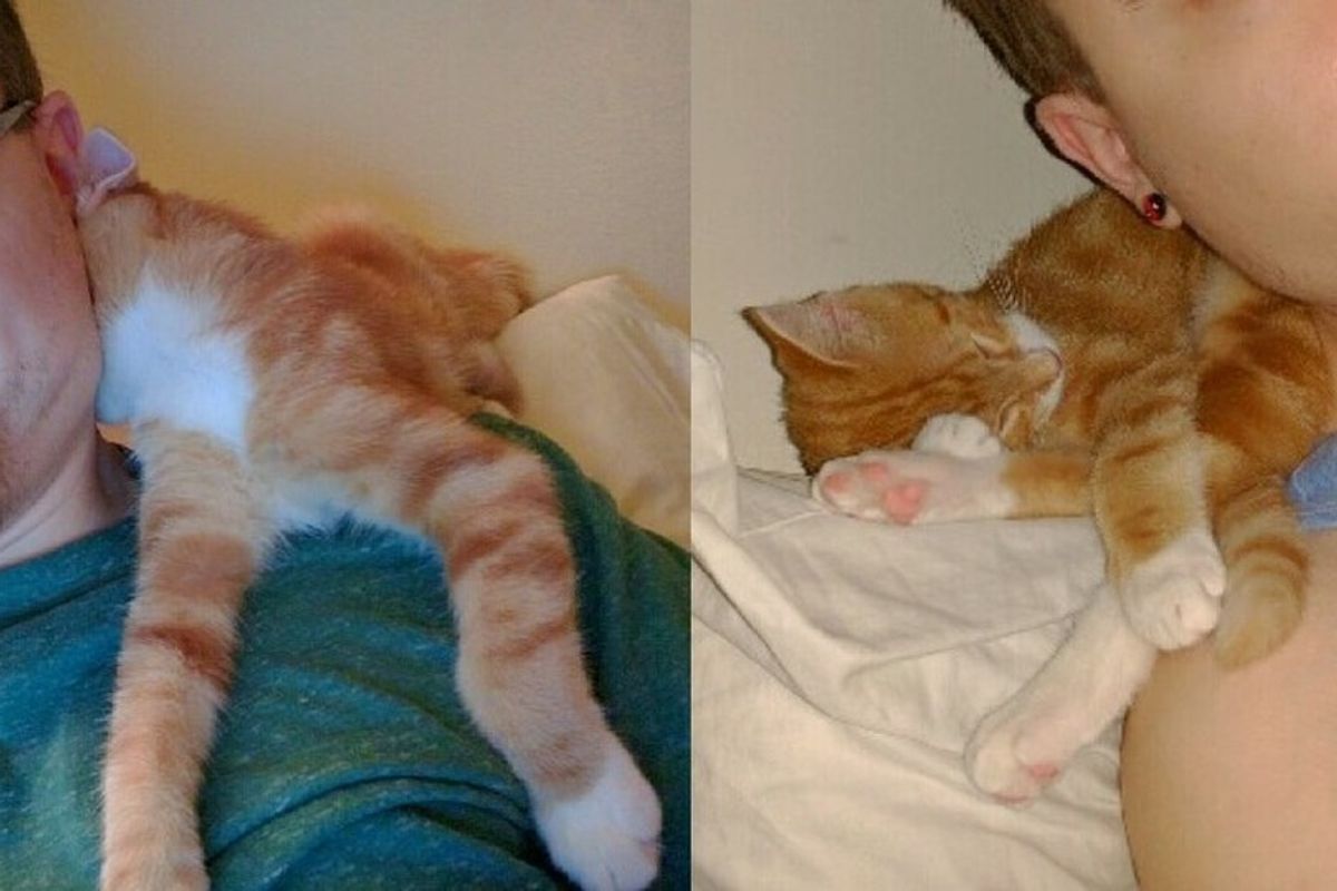 Man Gives Kitten a Home, the Kitty Refuses to Sleep Anywhere But His Shoulder