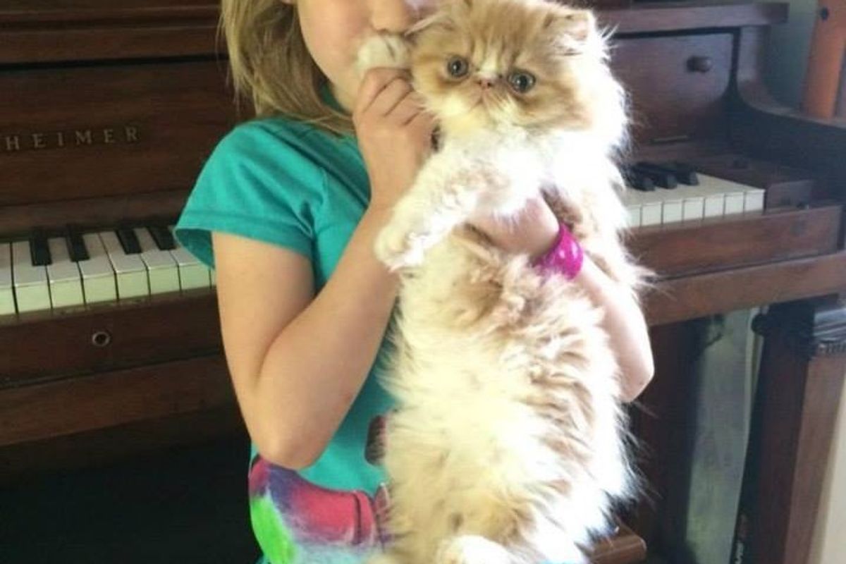 Girl's Love for Her Special Needs Cat Has Sealed the Hole in His Heart