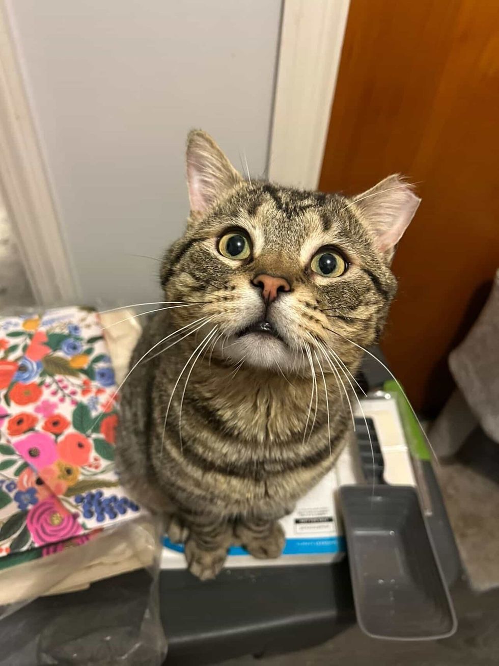 サーロインの全景写真