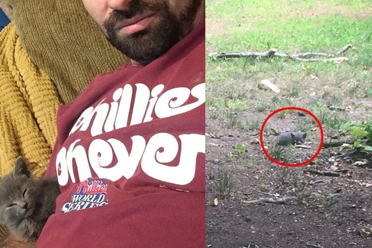 Kitten Clings to Her Rescuer After He Saved Her from the Woods