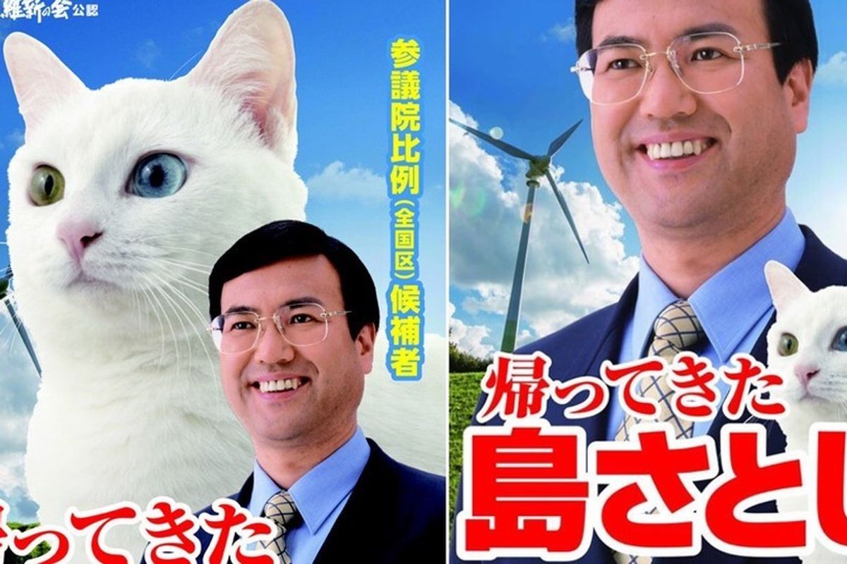 Japanese Politician Campaigns with a Cat