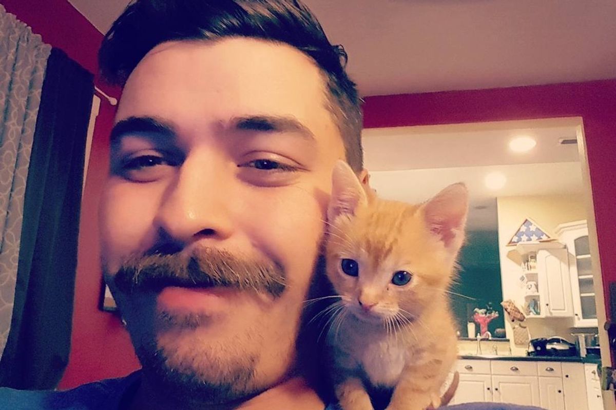 Man Saves a Tiny Kitten who Becomes His Purrfect Partner