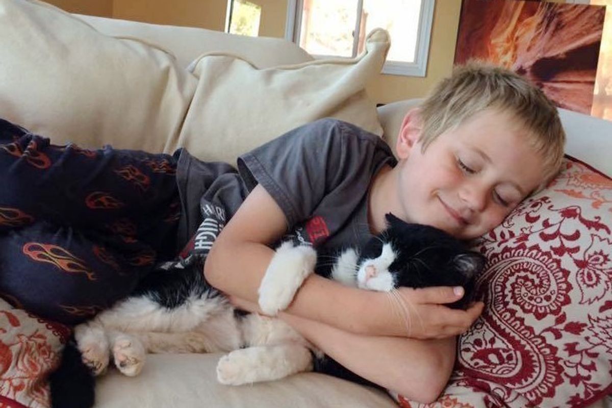 Cat Found a Home at 20, Two Years Later, He Has So Much Love to Give