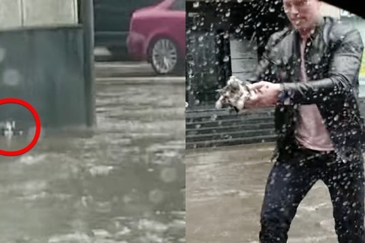 Heroic Man Rescues Kitten Stranded in Flood Waters