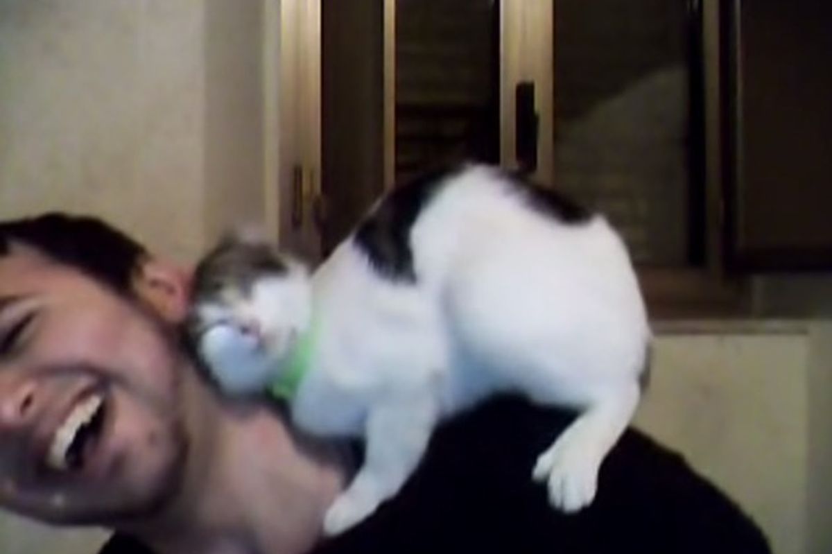 The Joy When This Man is Loved by a Rescue Cat