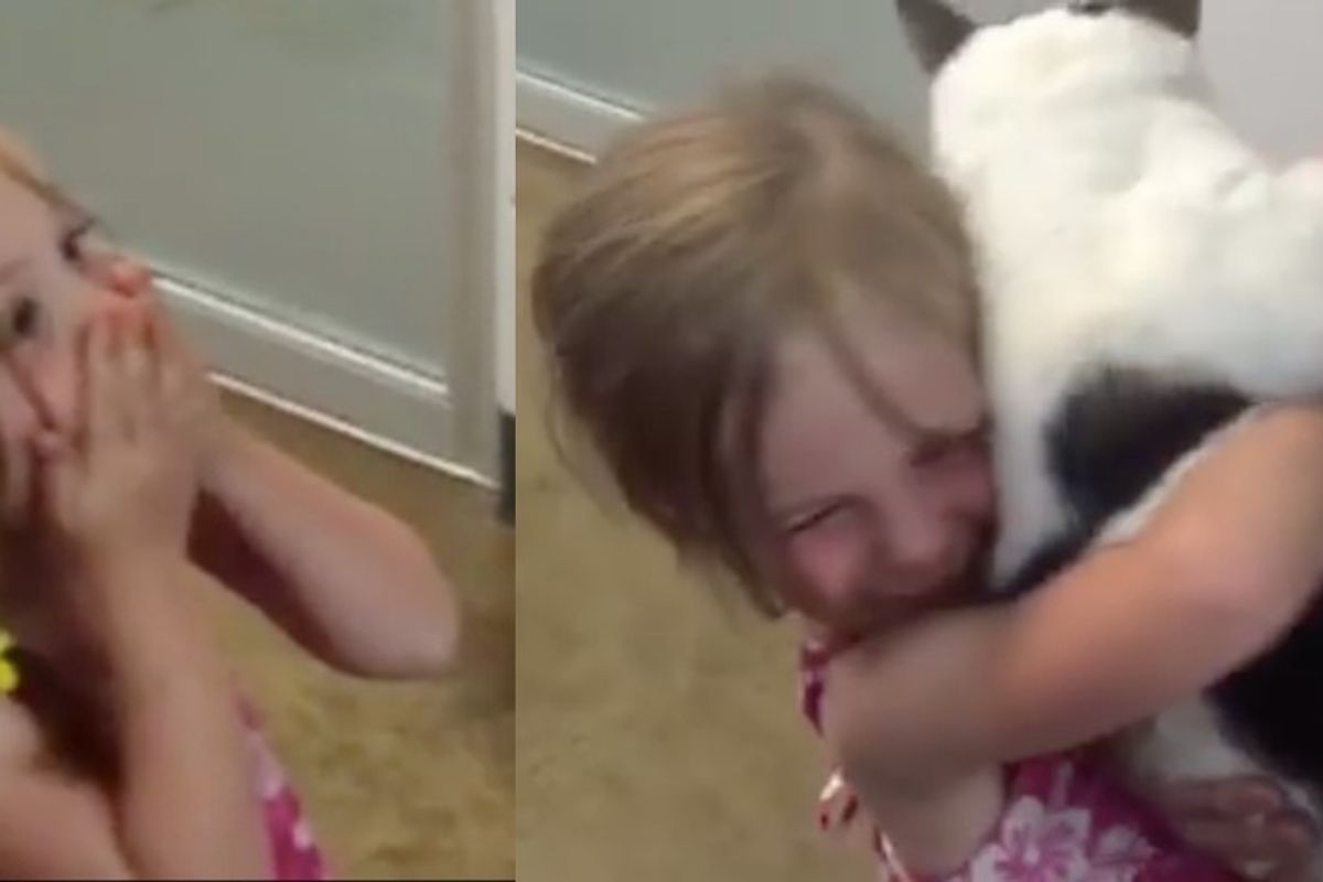 Girl Surprised to Find Her Beloved Cat in Shelter After He Went Missing for 3 Years