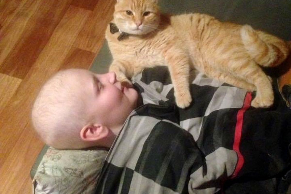 Boy Saves Abandoned Cat From Street, the Kitty Returns the Favor