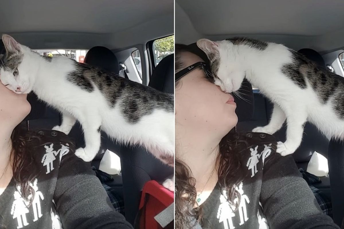 Cat Saved Hours Left on Death Row Can't Stop Thanking His Rescuer