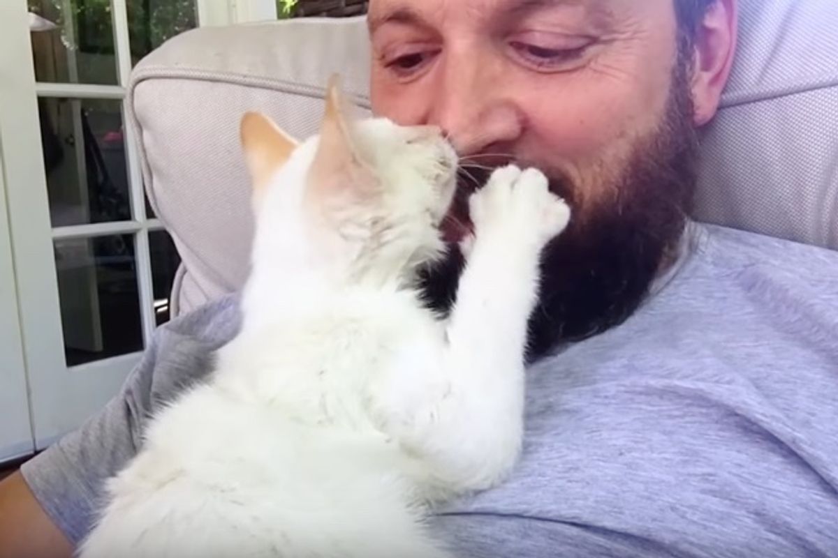 Man Rescued Sick Kitten at the Pound and Went to Get His Sick Siblings Too