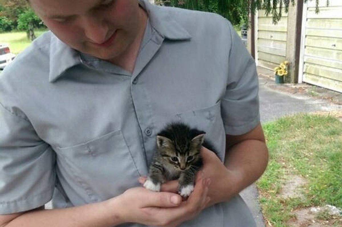 Tiny Stray Kitten Walks Up to Man, Asking to Be Adopted (with Update)