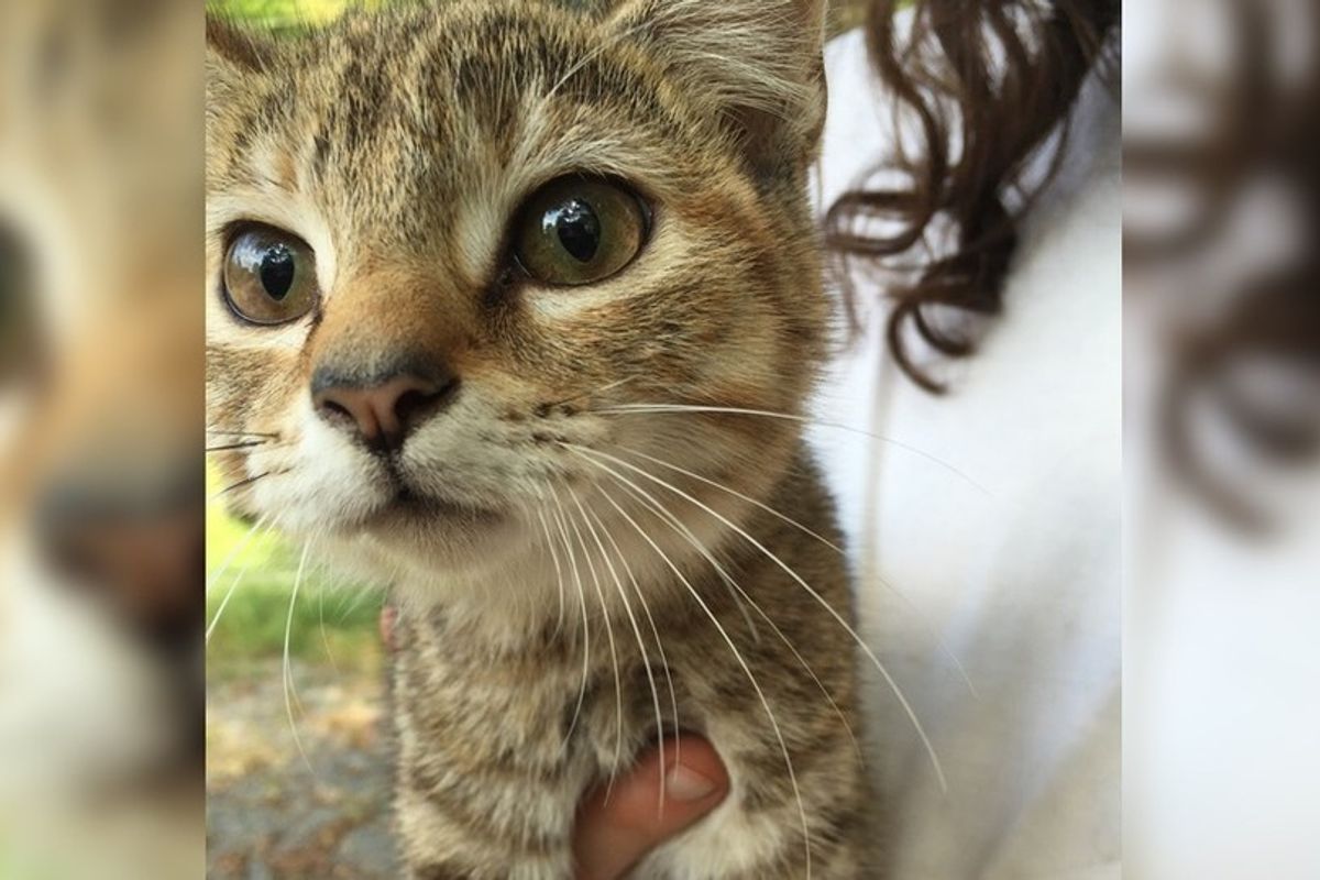 "We told our farmer friend we had a mouse problem. This is what she gave us"