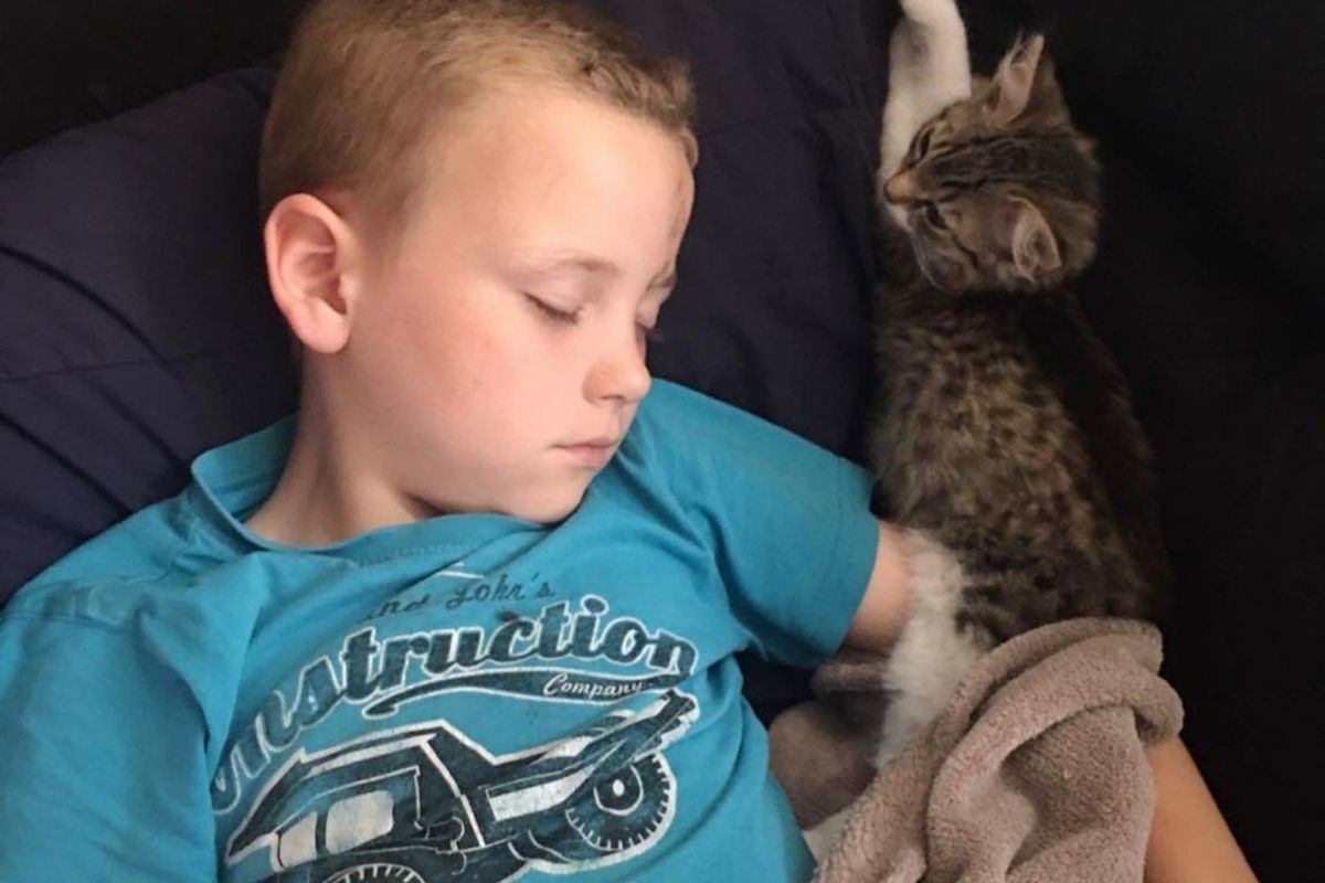 3-week-old Kitten Walks Up to Boy in Distress and Becomes His Guardian Angel... (with Updates)