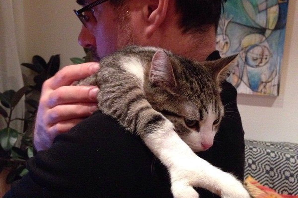 Kitty, Who was Born with a Special Paw, Fights His Way to a Loving Home