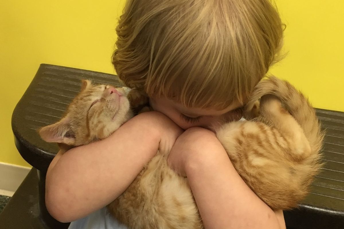 Shelter Kitten and 2 Year Old Girl Choose Each Other, Now Three Months Later...