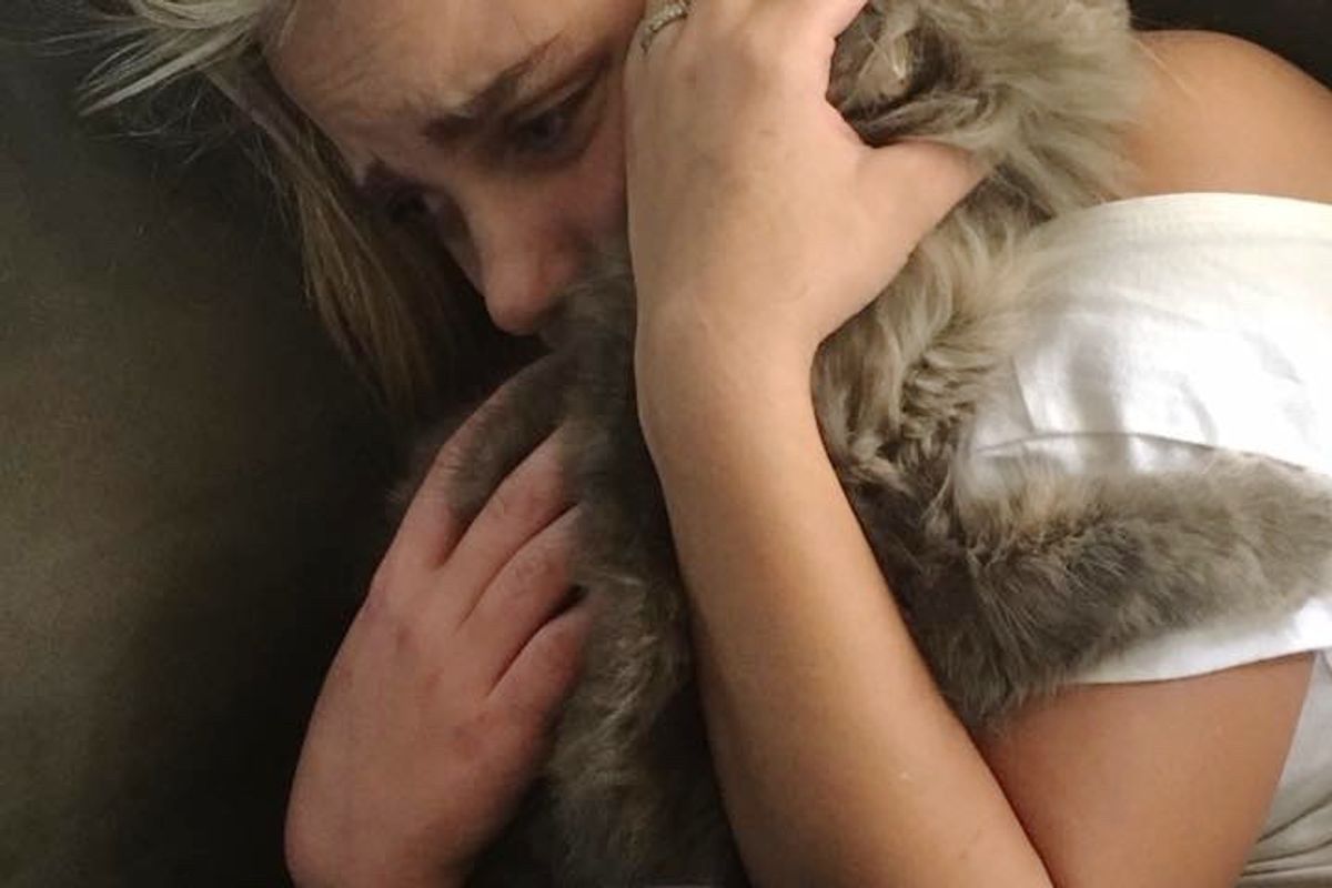 Woman's Search for Her Missing Cat Helps Reunite Another Lost Cat with Her Humans