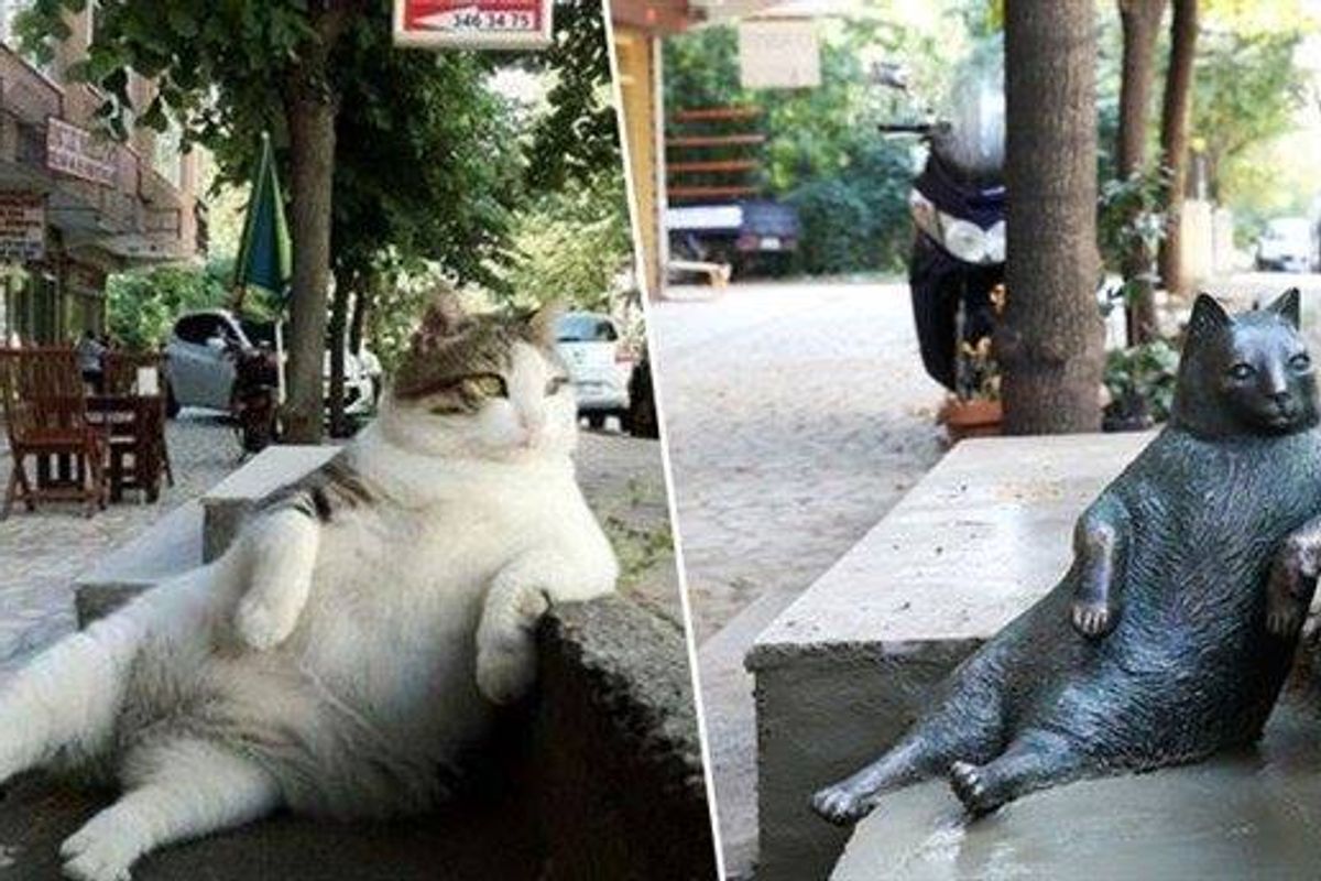 Iconic Laid-back Cat Immortalized with His Own Statue at His Favorite Spot