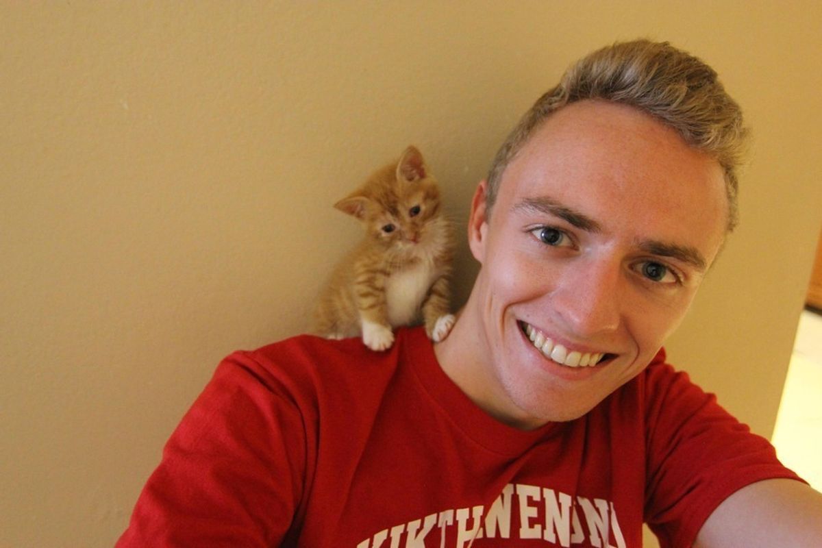 Man Saves Crying Kitten Found on His Doorstep, the Kitty Wouldn't Let Him Go
